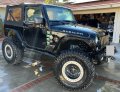 2016 Jeep Wrangler Rubicon 228-365-4325